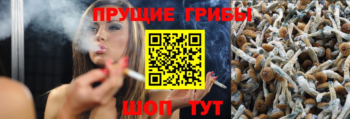Сланцы  Галлюциногенные грибы мицелий  Вход с VPN  Галлюциногенные грибы мухоморы 